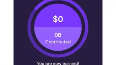 Capture d'écran de Earnapp 5
