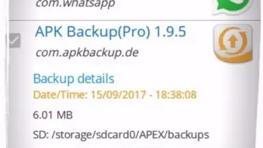 Capture d'écran de APK Backup(Pro) 2