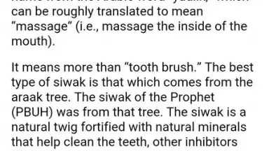 Capture d'écran de Prophetic Medicine & Herbalist 4