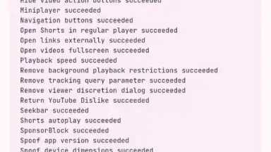 Capture d'écran de ReVanced Manager 2