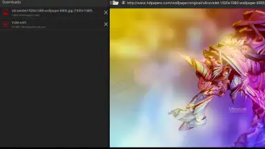 Capture d'écran de Broloader Video Downloader 7