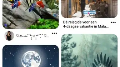 Capture d'écran de Pinterest 1