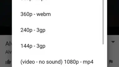 Capture d'écran de SnobTUBE - Video Audio Downloader 4