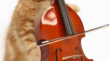Capture d'écran de Talking, Dancing Cat. 5