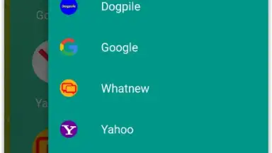 Capture d'écran de Google Search Alternatives 3