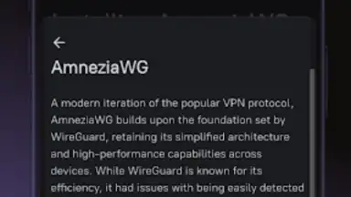 Capture d'écran de Amnezia VPN 4