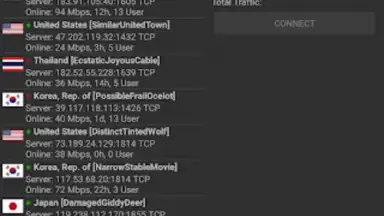 Capture d'écran de VPN Servers 5