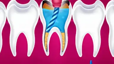 Capture d'écran de Pet Doctor Kids Dentist Game 3