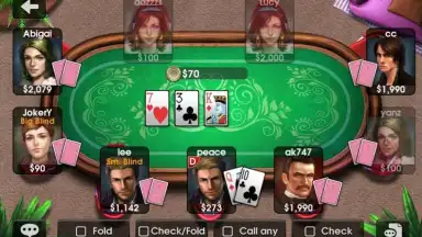 Capture d'écran de DH Texas Poker 5