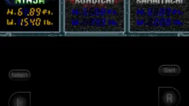 Capture d'écran de Snes9x EX+ 17