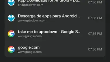 Capture d'écran de Comet Browser 11