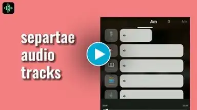 Capture d'écran de Splitter: Vocal Remover & More 1