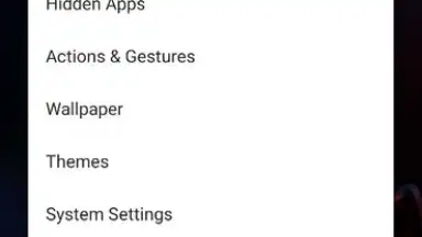 Capture d'écran de Apex Launcher 11