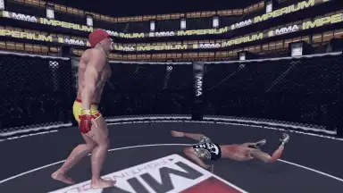 Capture d'écran de MMA Fighting Clash 17
