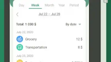 Capture d'écran de Money manager & expenses 9