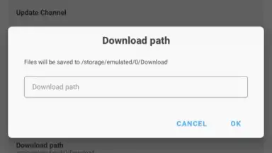 Capture d'écran de Magisk Manager 4