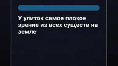 Capture d'écran de Правда или Ложь 5
