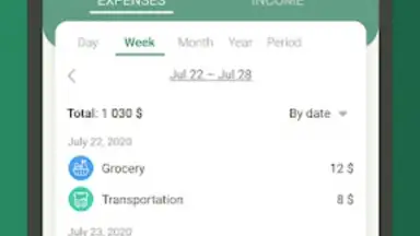 Capture d'écran de Money manager & expenses 13