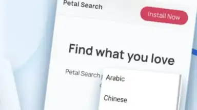 Capture d'écran de HUAWEI Petal Search 1