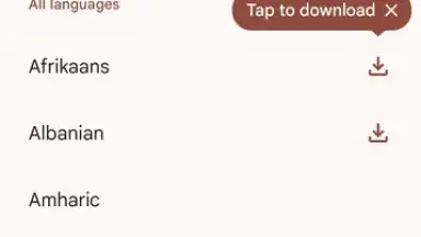 Capture d'écran de Google Translate 9