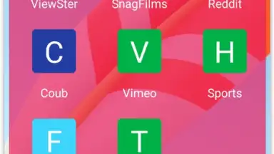 Capture d'écran de VIP Video downloader 1