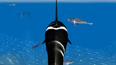 Capture d'écran de Orca Simulator 4