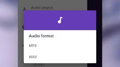 Capture d'écran de MP3 Recorder 9