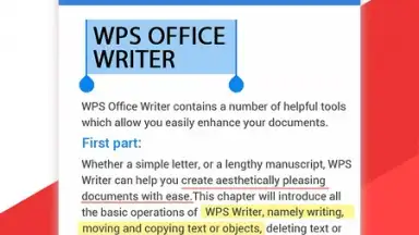 Capture d'écran de WPS Office 13