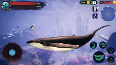 Capture d'écran de The Humpback Whales 7