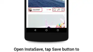 Capture d'écran de InstaSave 6