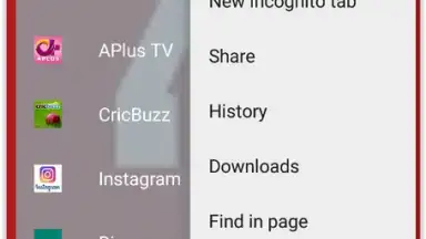Capture d'écran de 4K Browser 5