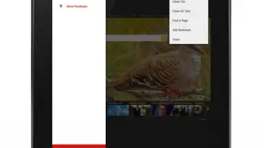 Capture d'écran de Anonymous Browser 17