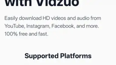 Capture d'écran de Download Videos from All Social Media - Vidzuo 1