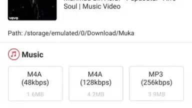 Capture d'écran de Muka Downloader 3