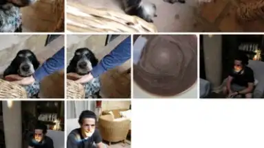 Capture d'écran de Google Photos 5