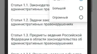 Capture d'écran de КоАП РФ 24.06.2023 (195-ФЗ) 7