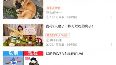 Capture d'écran de bilibili (CN) 8