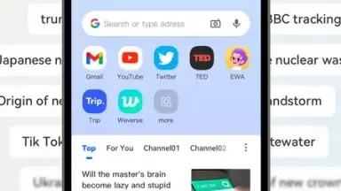 Capture d'écran de DDU Browser 2