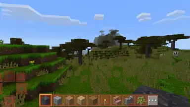 Capture d'écran de Craft City 11