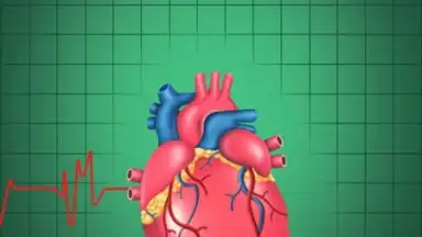 Capture d'écran de Cardiac Hospital 4