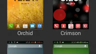 Capture d'écran de XThemes 1