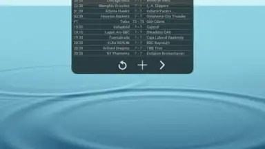Capture d'écran de Basketball Livescore Widget 4
