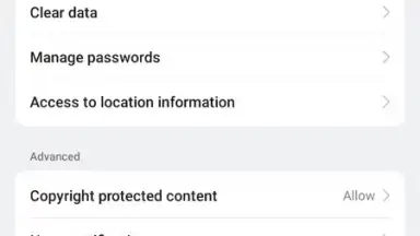 Capture d'écran de Internet Browser 9