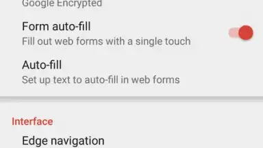 Capture d'écran de Pyrope Browser 2