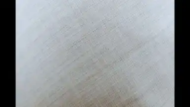 Capture d'écran de HedgeCam 2 6