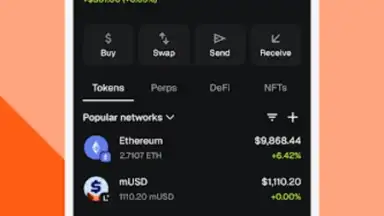 Capture d'écran de MetaMask 1