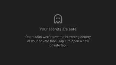 Capture d'écran de Opera Mini 7