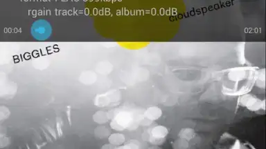 Capture d'écran de Vanilla Music 3