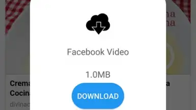 Capture d'écran de Daily Video Downloader 4