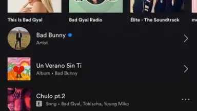 Capture d'écran de Spotify 6